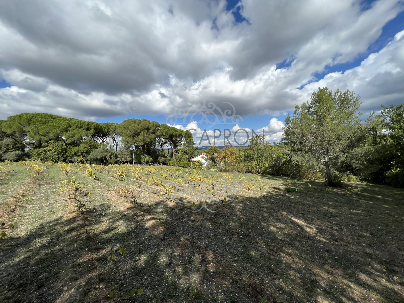 Image_1, Terrain, Aix-en-Provence, ref :1180VT