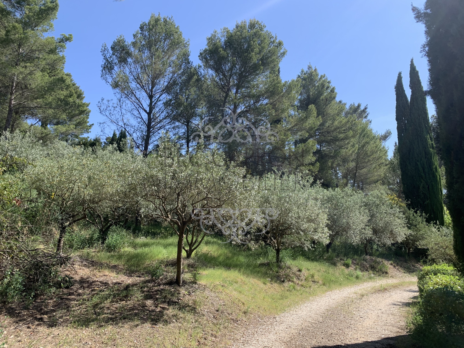 Image_2, Maisons (maison, propriété, villa, Mas,bastide, maison de village), Le Tholonet, ref :1200 VM