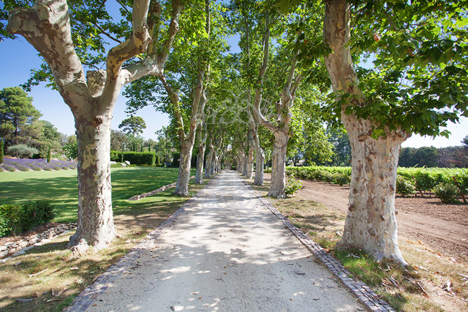 Image_5, Maisons (maison, propriÃ©tÃ©, villa, Mas,bastide, maison de village), Aix-en-Provence, ref :574vm