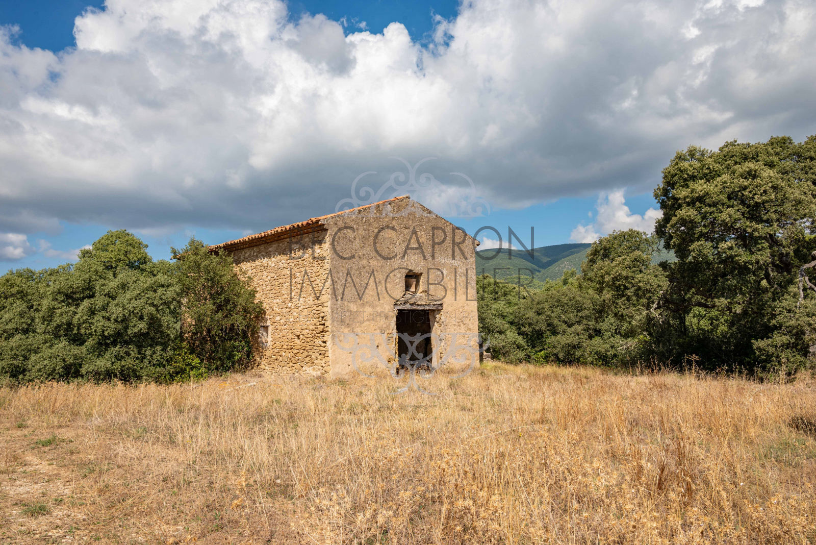 Image_20, Maisons (maison, propriété, villa, Mas,bastide, maison de village), Aix-en-Provence, ref :1250 VM