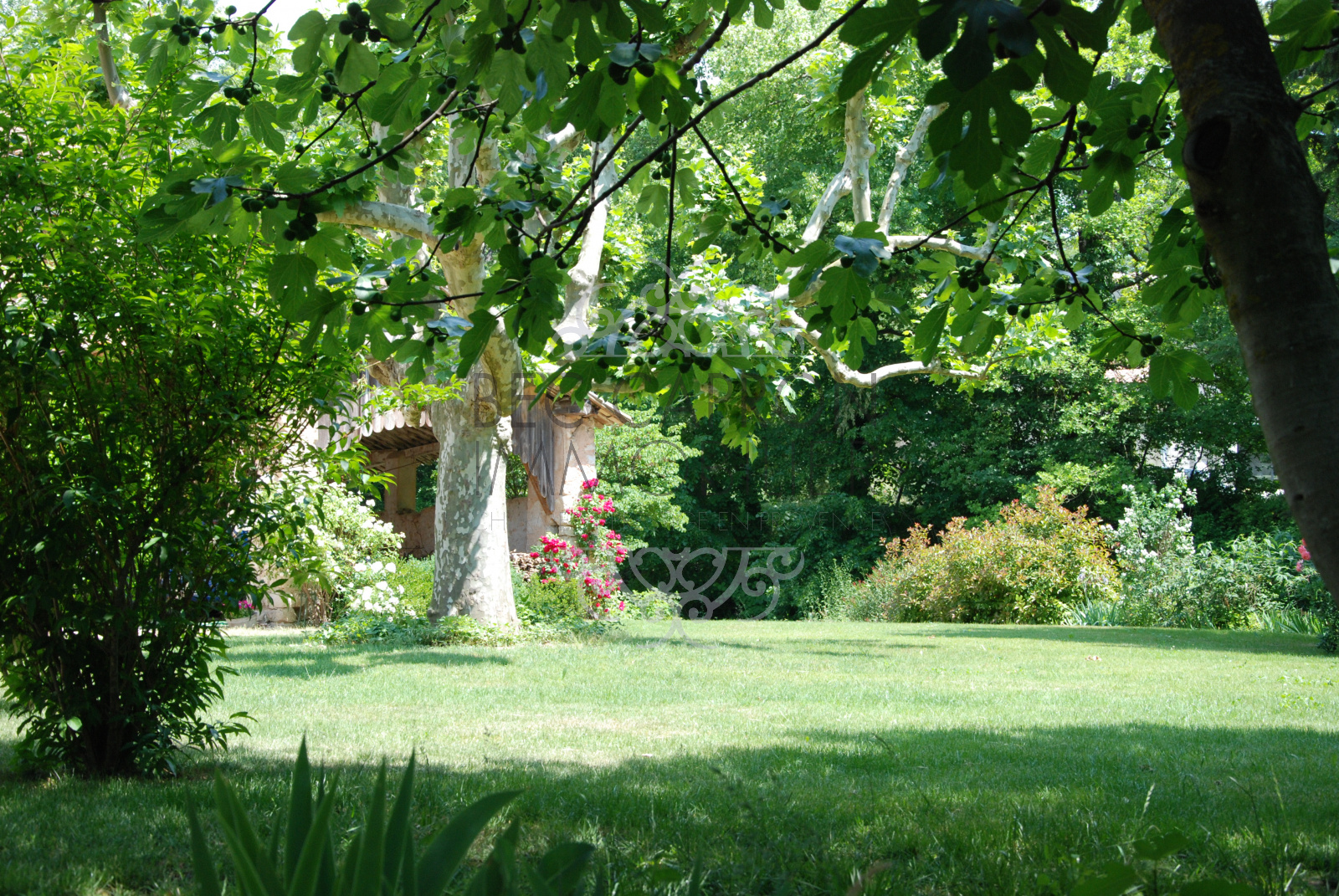 Image_8, Maisons (maison, propriÃ©tÃ©, villa, Mas,bastide, maison de village), Aix-en-Provence, ref :1201 VM